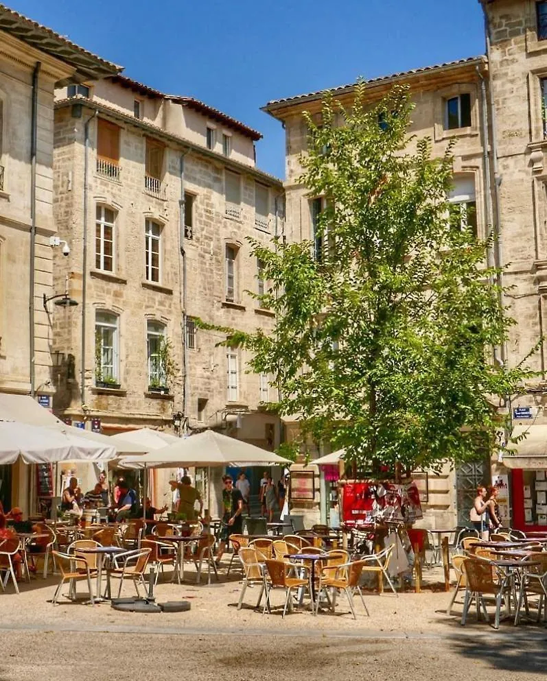 Studio Cosy - Intra-Muros - Check-In 17H Avignon 0*,  France